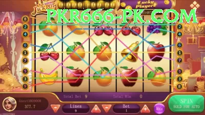 mj77 Money Plus v4.2.9 Screenshot 2 - 4
