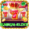 K9 Game Premium Slots