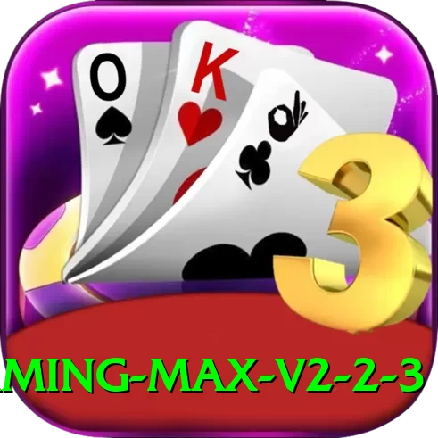 Metawin Gaming Max v2.2.3 - 2